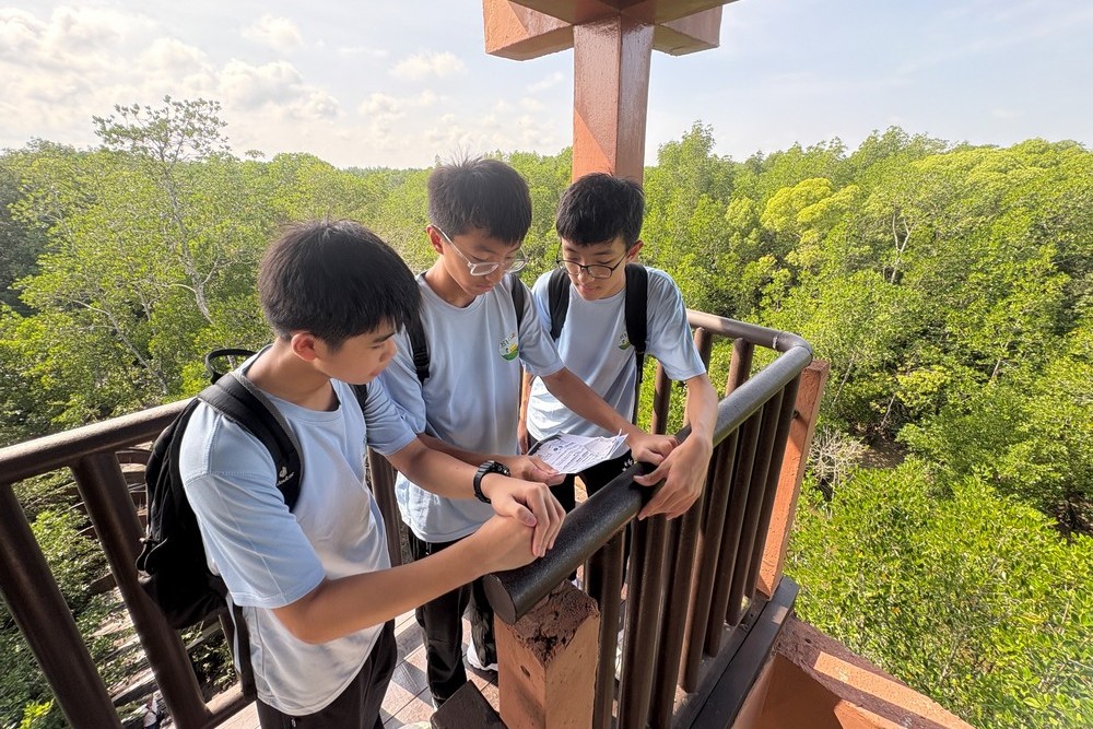 Tzu Chi Teenagers Visit Kukup Island and Learn from Nature